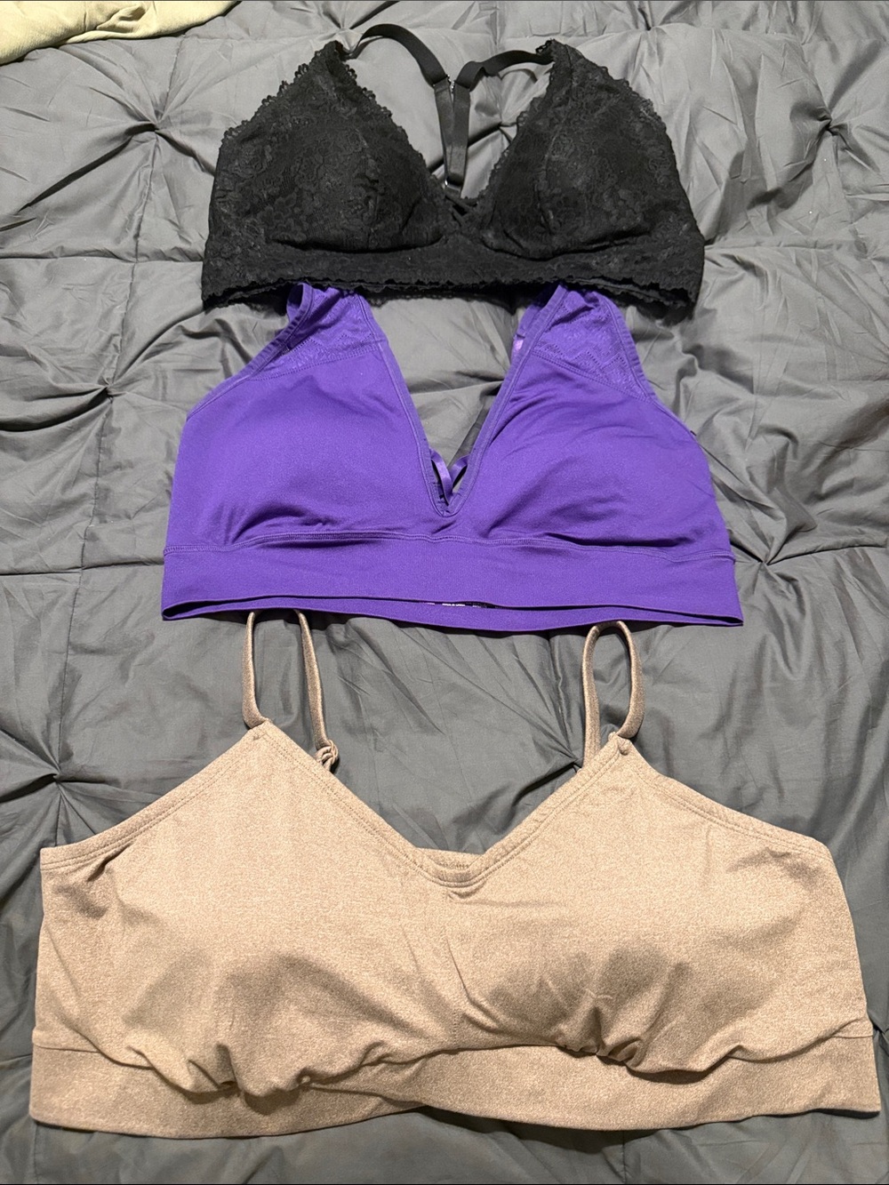 torrid Black Lace, Purple, and Tan Bralette Set